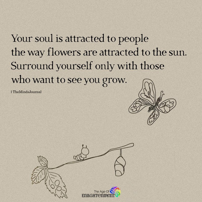 Your Soul Is Attracted To People