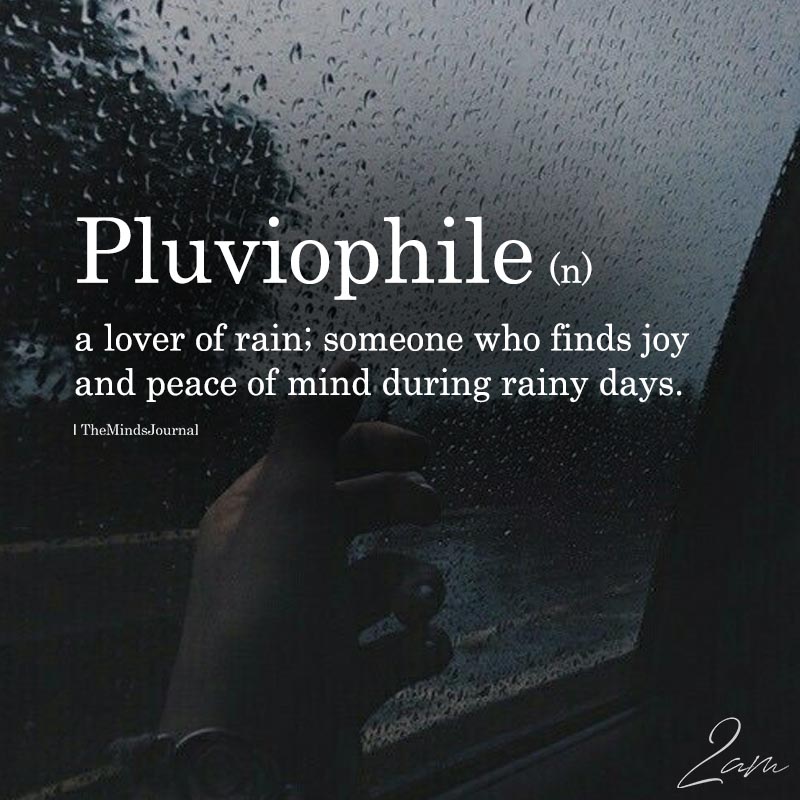 signs you are a pluviophile
