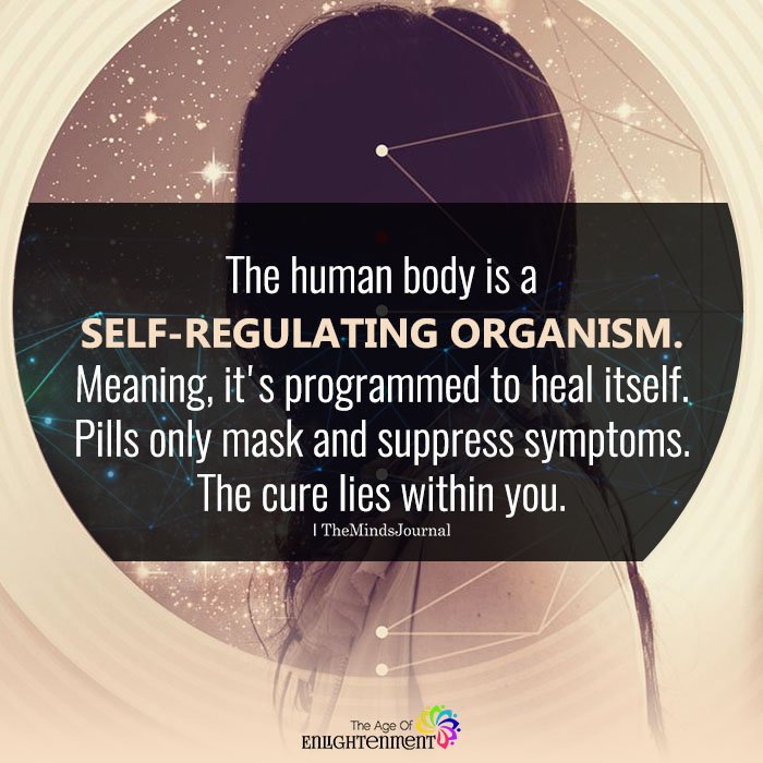 The Human Body Is A SELF-REGULATING ORGANISM