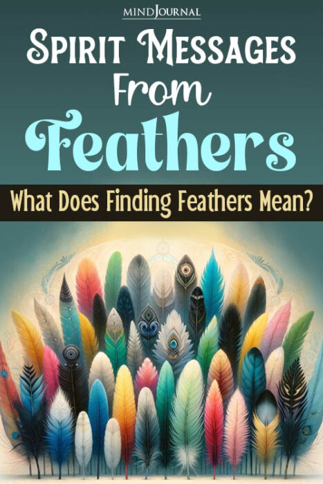 Spirit Messages From Feathers finding Feathers Mean pin