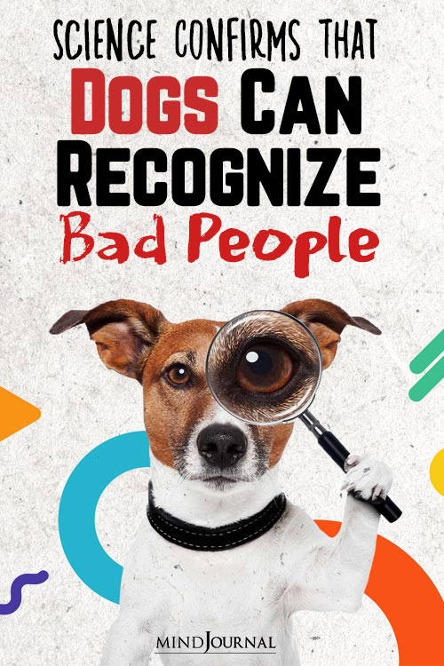 science confirms dog recognize bad people international dog day