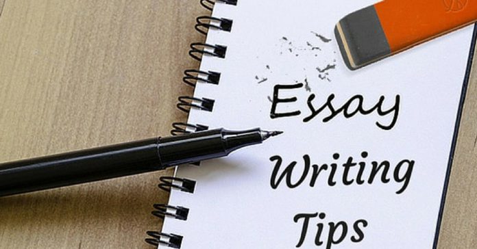 Essay Writing Tips For New Learner