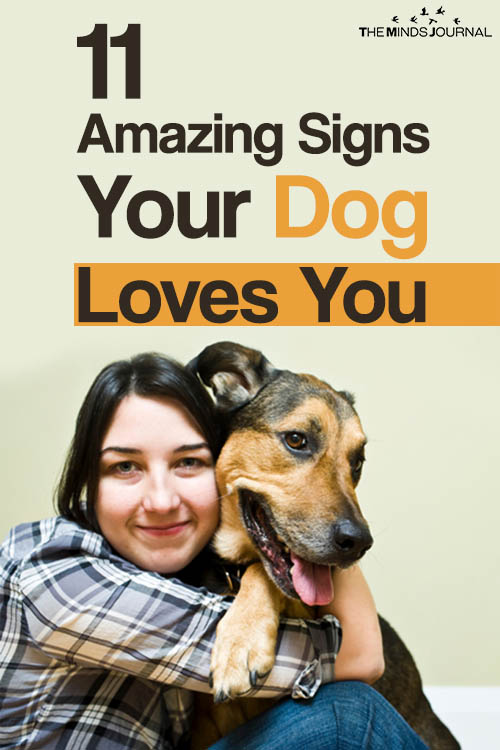 11 Amazing Signs Your Dog Loves You