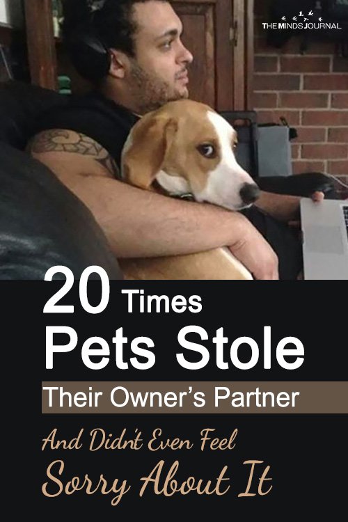 20 Times Pets Stole Their Owner’s Partner And Didn’t Even Feel Sorry About It