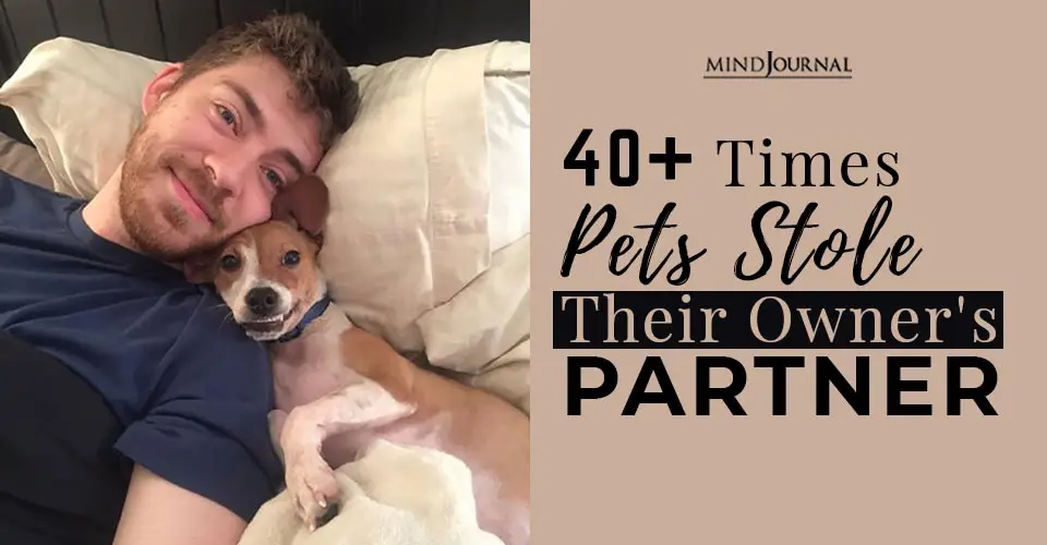 40+ Times Pets Stole Their Owner’s Partner And Didn’t Even Feel Sorry