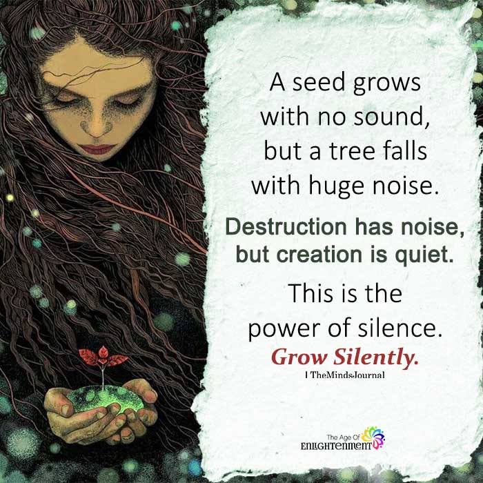 A Seed Grows With No Sound