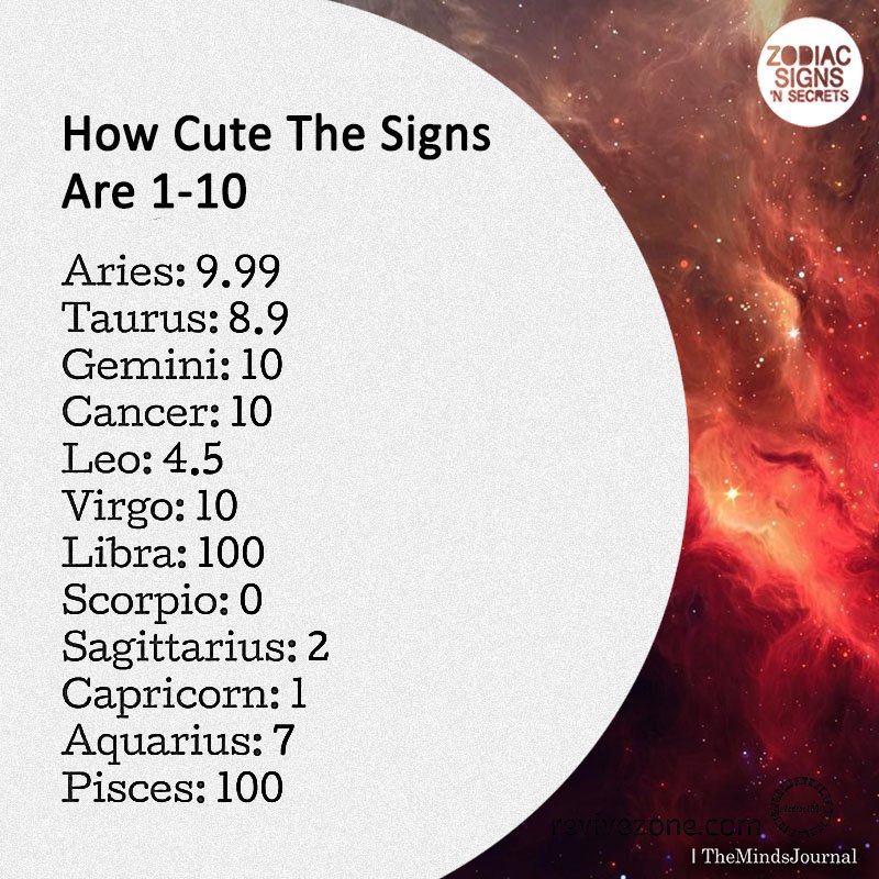 How Cute The Signs Are