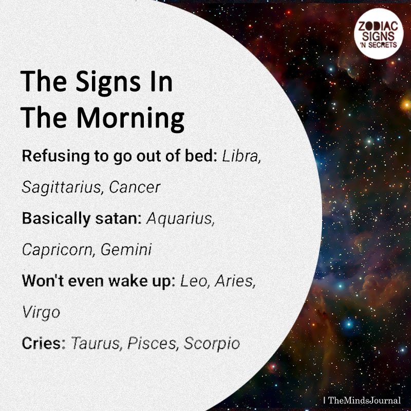 The Signs In The Morning