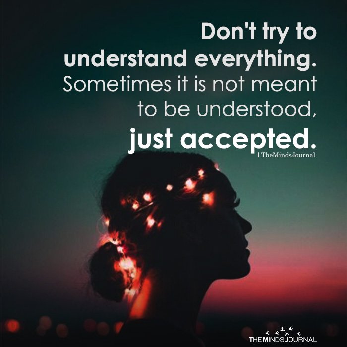 Don't Try To Understand Everything