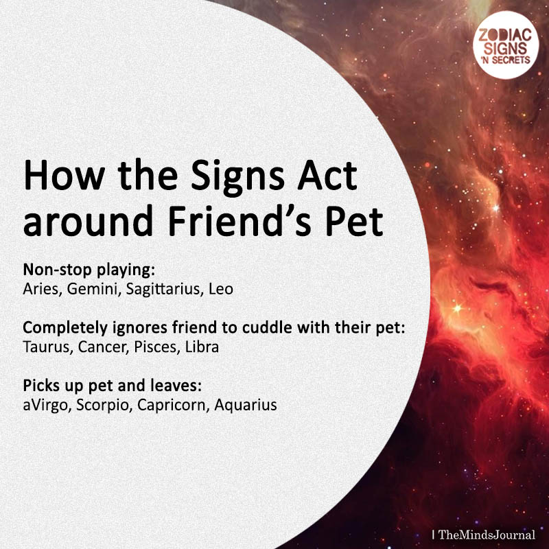How the Signs Act around Friend’s Pet