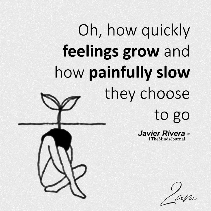 Oh, How Quickly Feelings Grow