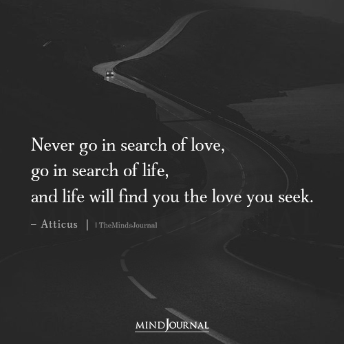 Never Go In Search Love