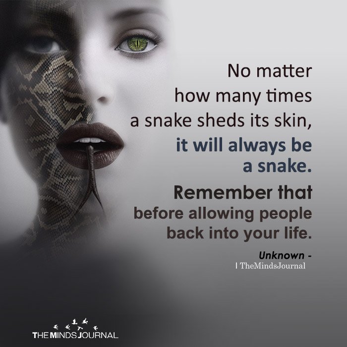 No matter how many times a snake sheds its skin, it will always be a snake