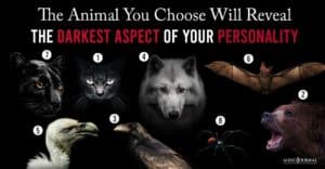 Animal You Choose Will Reveal Darkest Aspect Your Personality