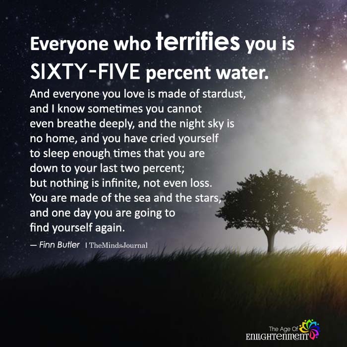 Everyone who terrifies you is sixty-five percent water