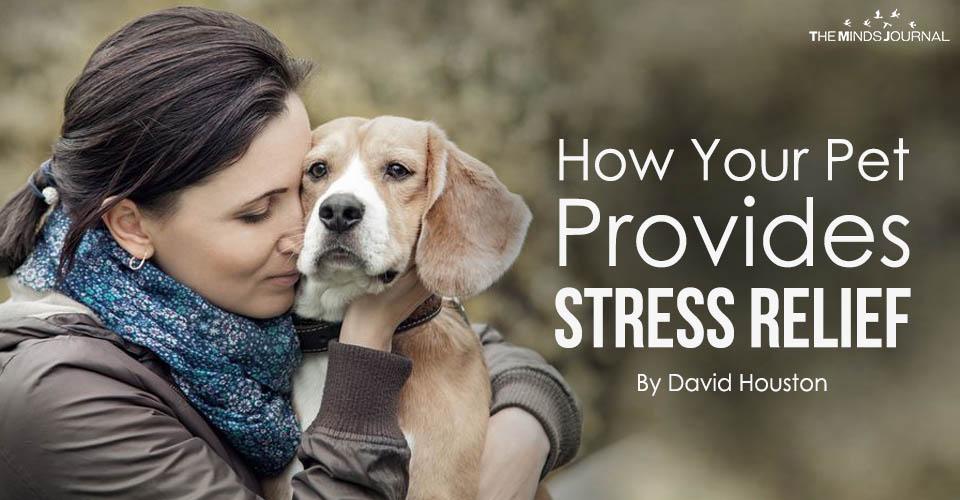 How Your Pet Provides Stress Relief