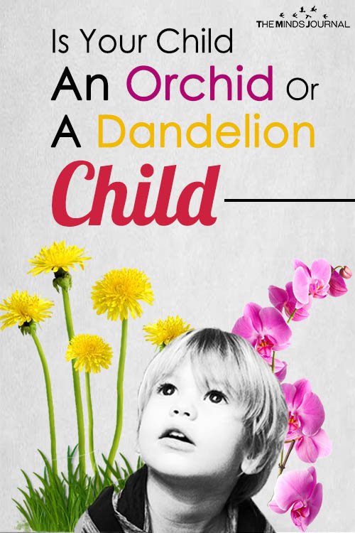Is Your Child An Orchid Or A Dandelion Child
