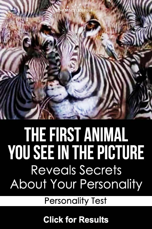 animal you spot first reveals your personality