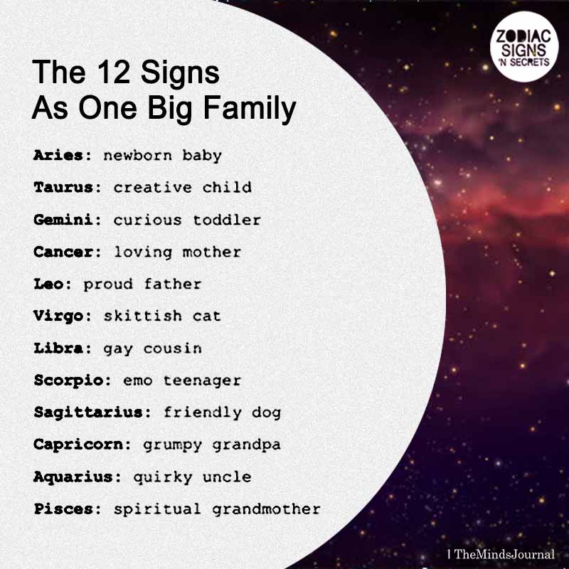 The 12 Signs As One Big Family