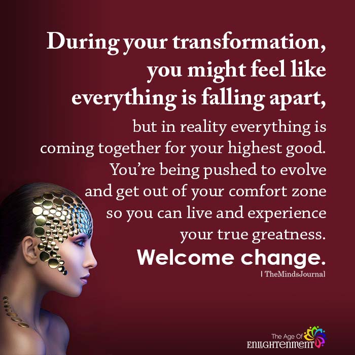 During Your Transformation, You Might Feel Like Everything Is Falling Apart.
