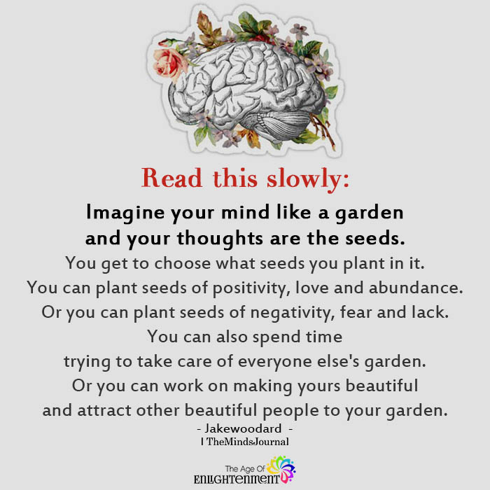 Imagine your mind like a garden
