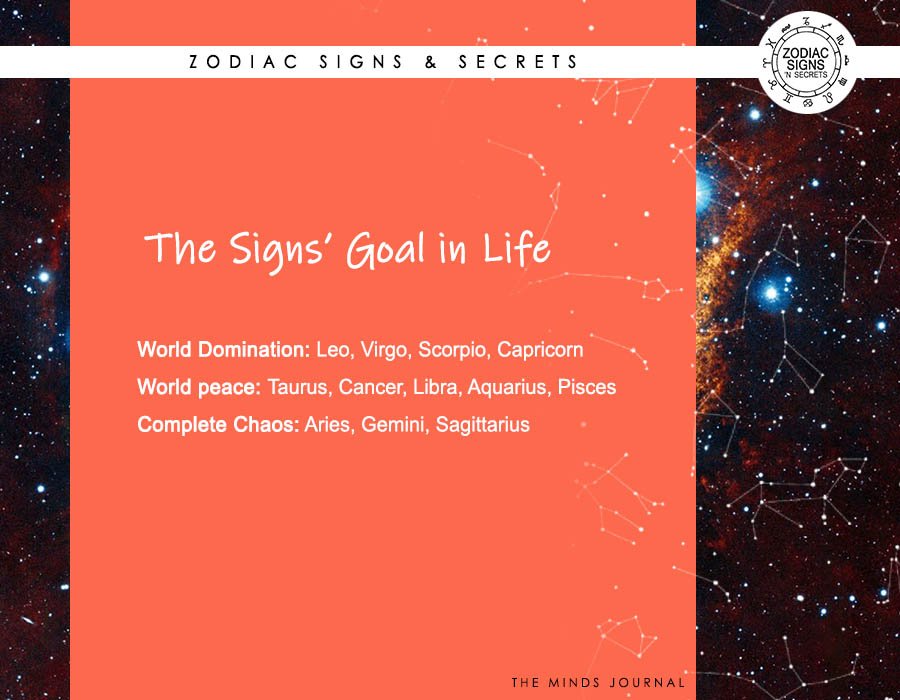 The Signs' Goal In Life