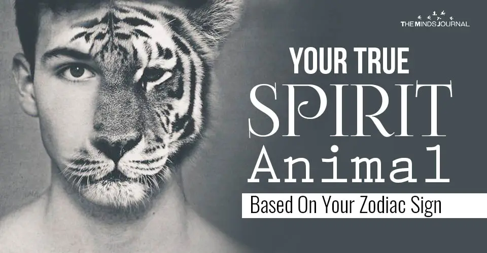 Your True SPIRIT Animal Based On Your Zodiac Sign