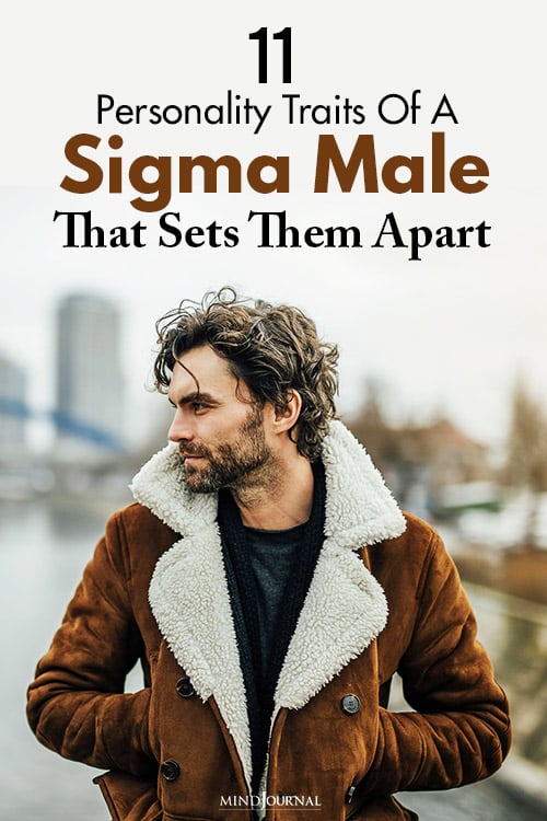 Personality Traits Sigma Male pin
