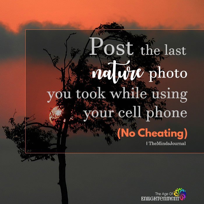 Post the last nature photo