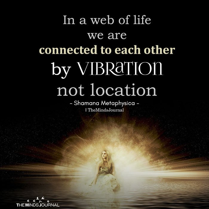 In a web of life we are connected to each other