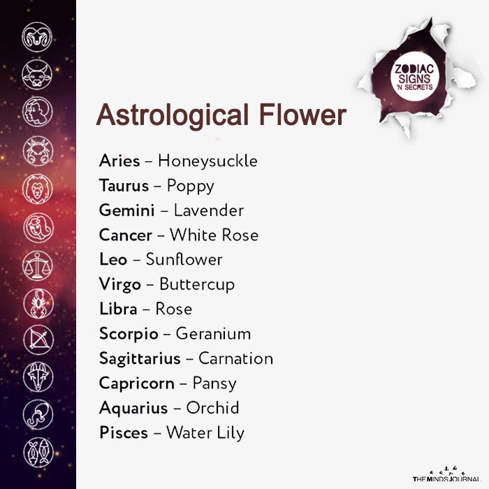 Signs As Astrological Flower