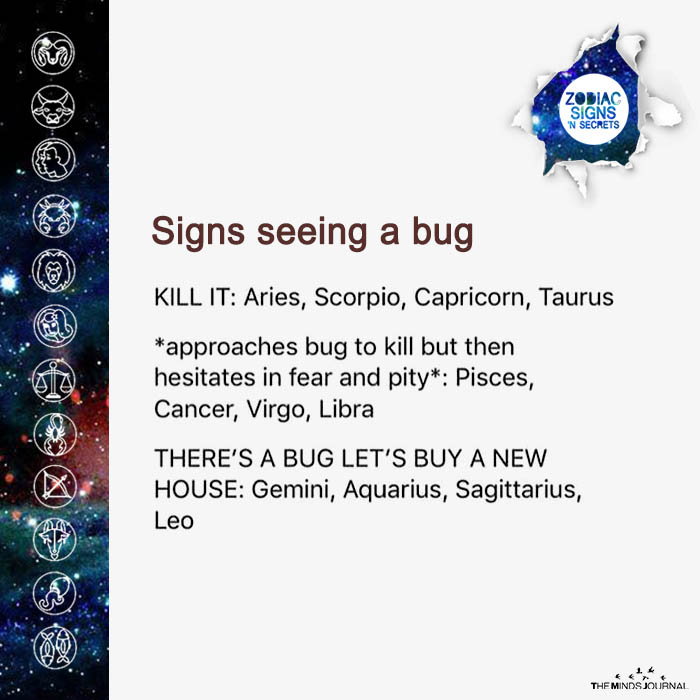 Signs Seeing A Bug