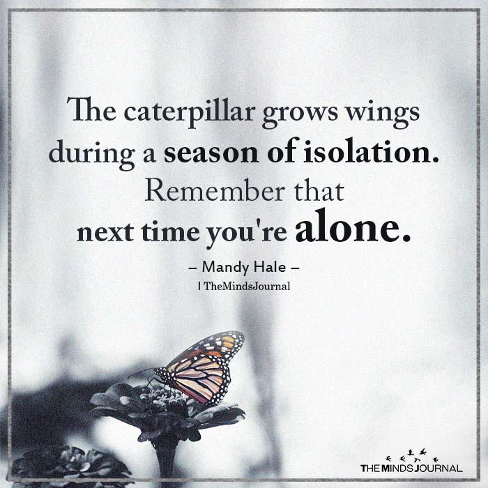 The caterpillar grows wings