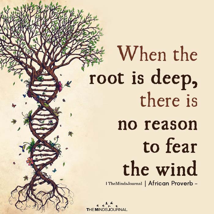 When the root is deep