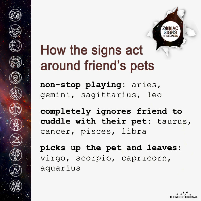 How The Signs Act Around Friend's Pets