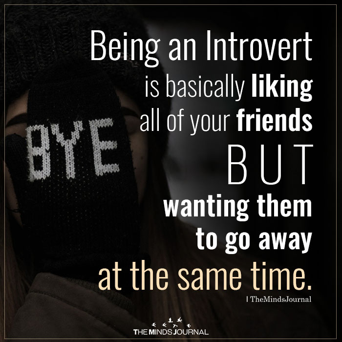 being an introvert is basically