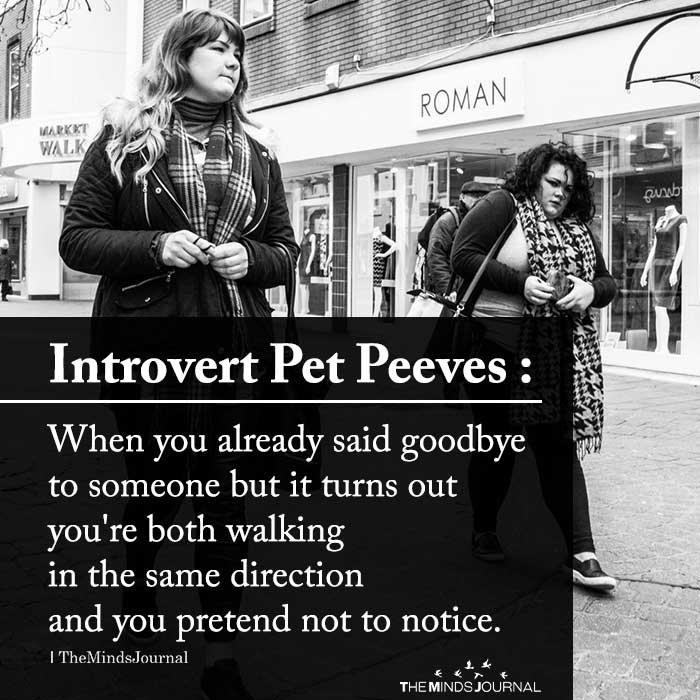 introvert pet peeves