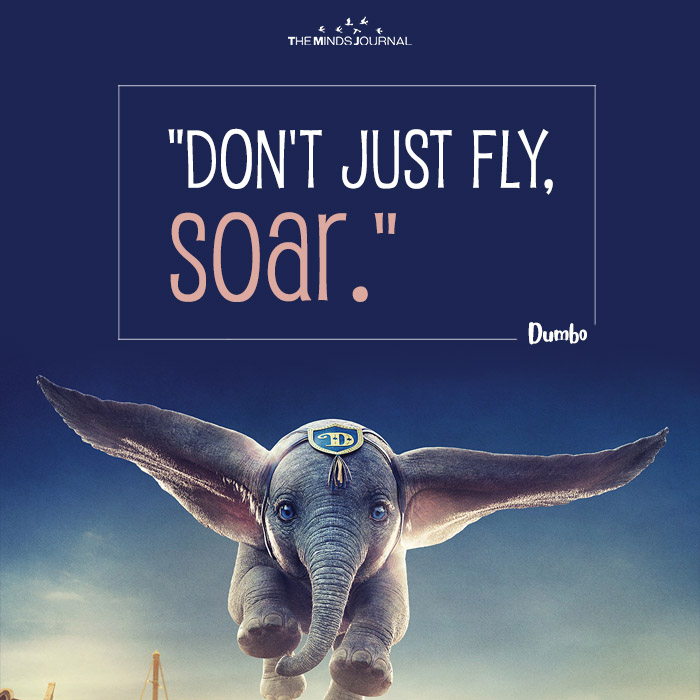 Don't just fly, soar