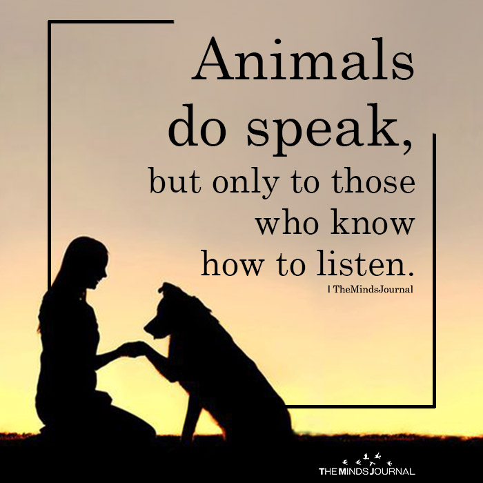 animals do speak but only