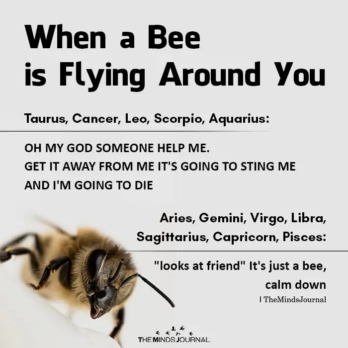 Bee .webp