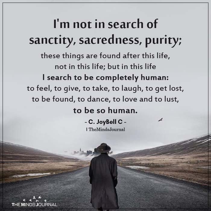 i am not in search of sanctity