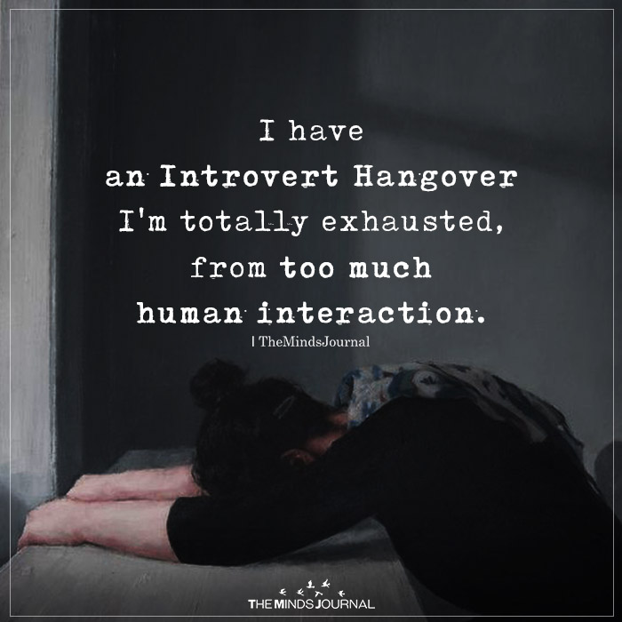 I Have An Introvert Hangover
