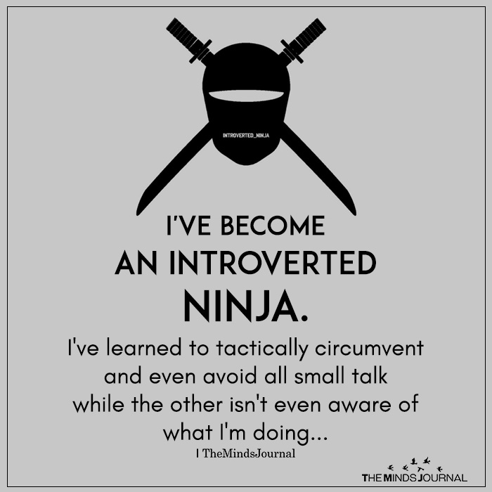 i have become an introverted ninja