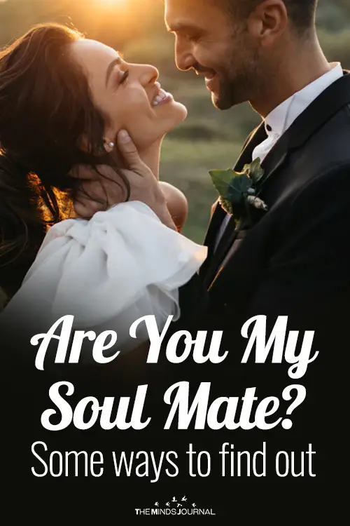 Are You My Soul Mate pin