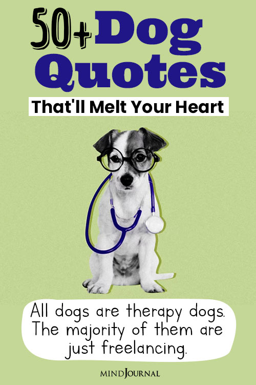 Dog Quotes Melt Every Animal Lovers Heart international dog day pin