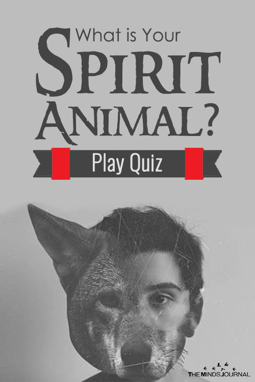 Spirit Animal test