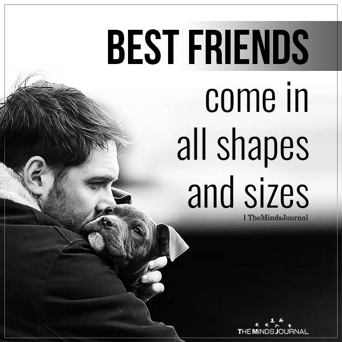 dog quotes best friends