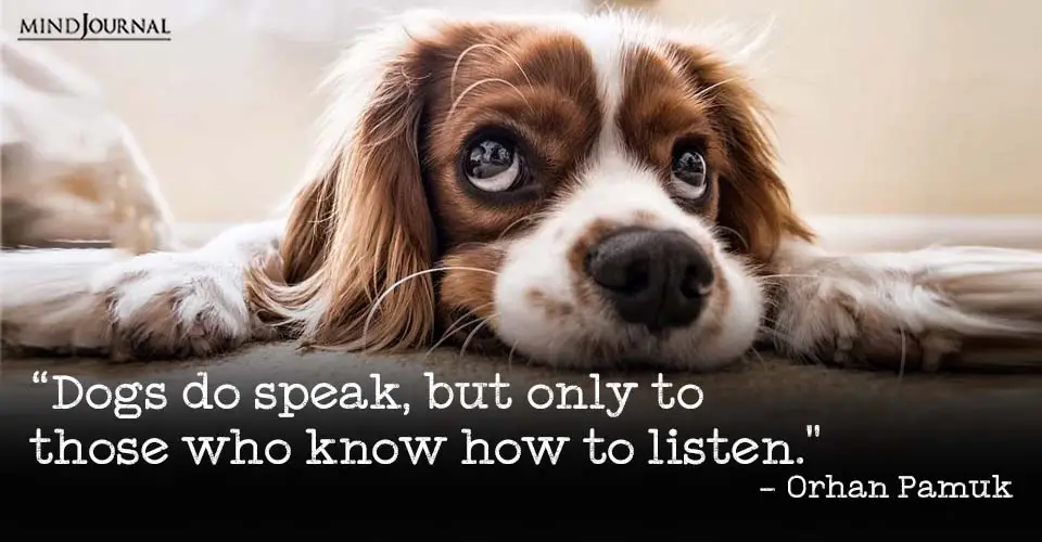 dog quotes that will melt every animal lovers heart