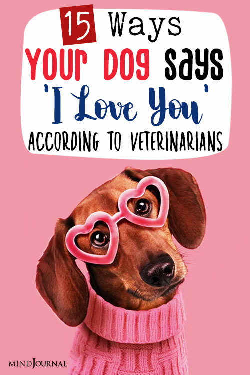 your dog says i love you pin