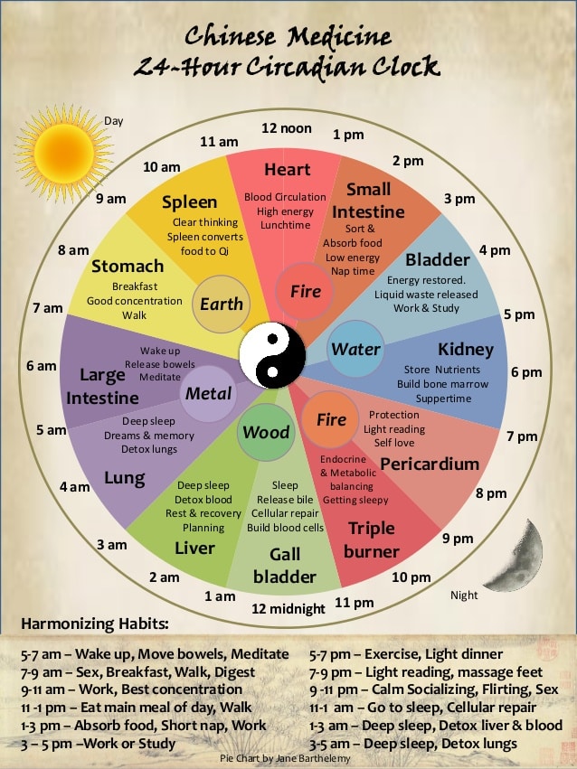 Chinese Body Clock